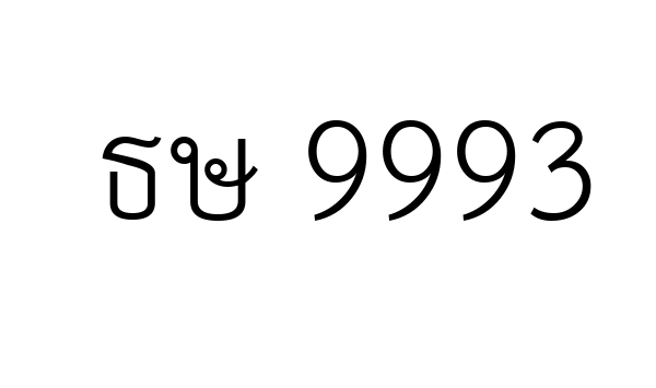 ธษ 9993